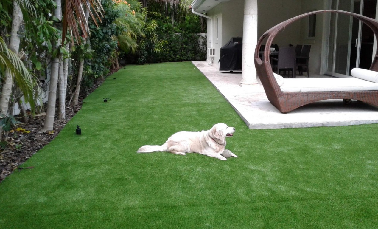 Pet-safe artificial grass with advanced drainage system in Des Plaines, IL